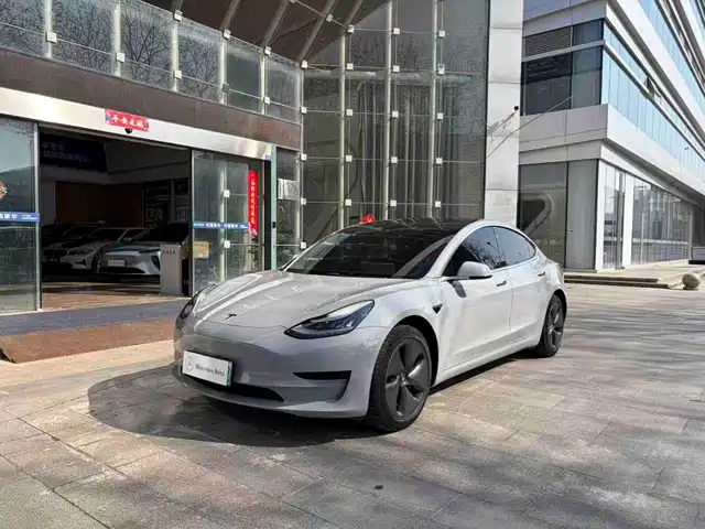 TESLA MODEL 3 2020