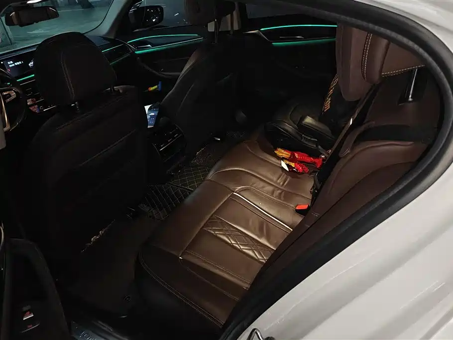 BMW 5 SERIES NEW ENERGY