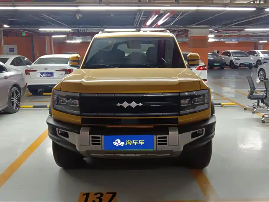 FANG CHENG BAO LEOPARD 5