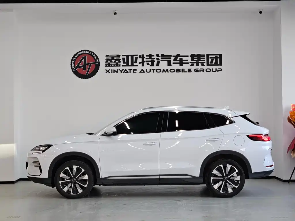 BYD SONGJIANG NEW ENERGY