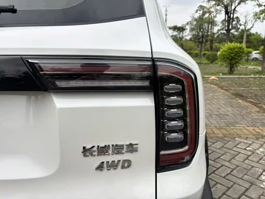 Haval Dargo 2.0T DCT 4WD Chinese Rural Dog Hunting Edition, фото 15