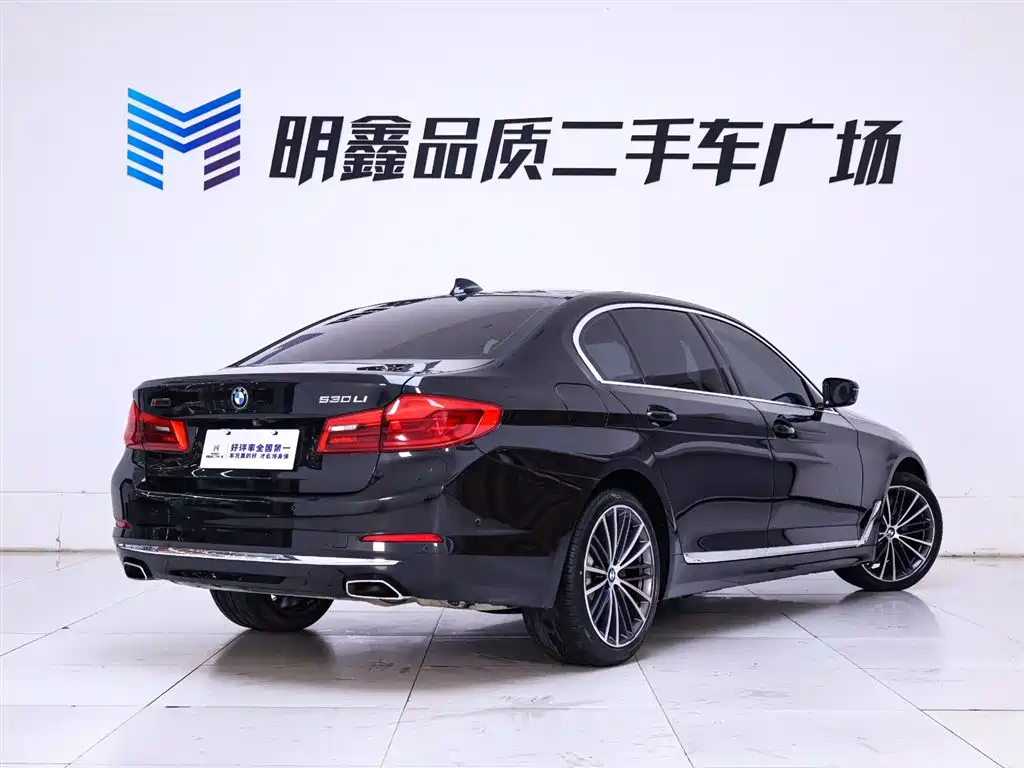 BMW 5 Series 5 2020 530Li Executive Luxury