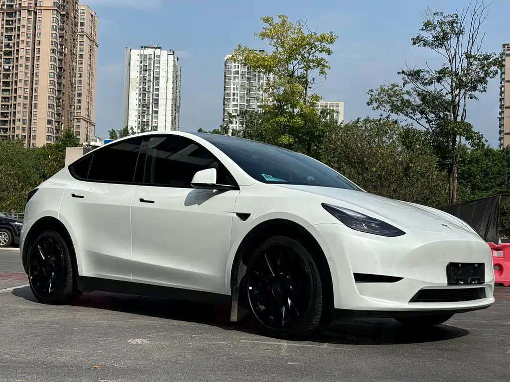Tesla Model Y — миниатюра 3