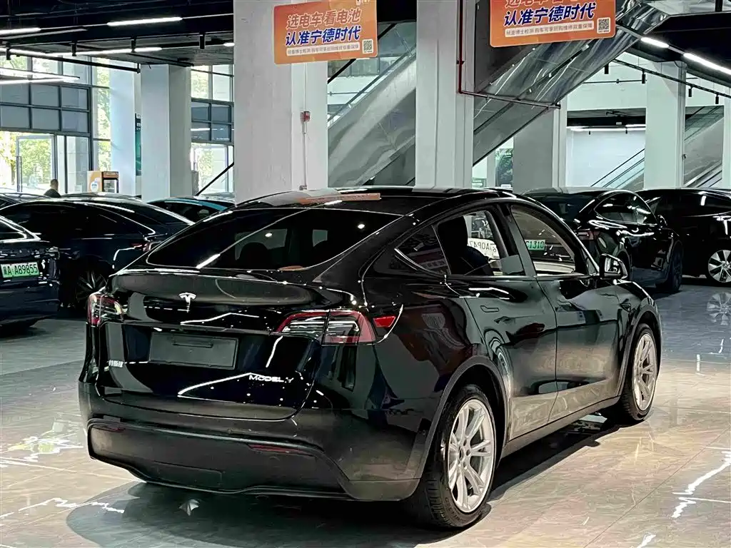 Tesla Model Y — миниатюра 11