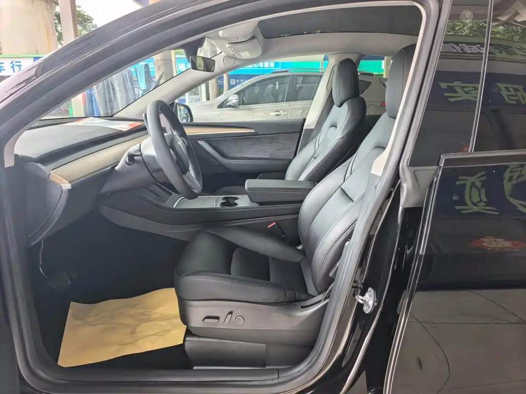 Tesla Model Y — миниатюра 6