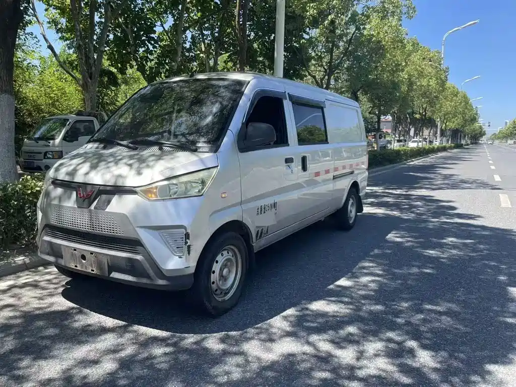 Wuling Wuling EV50