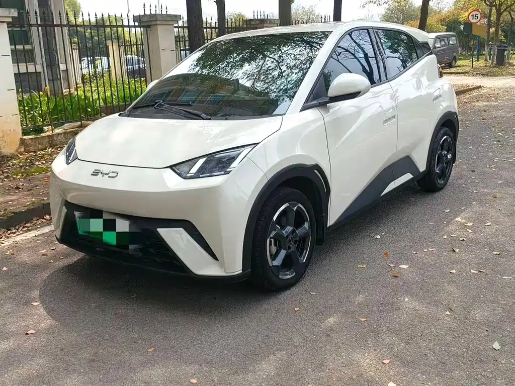 Byd Seagull 2024