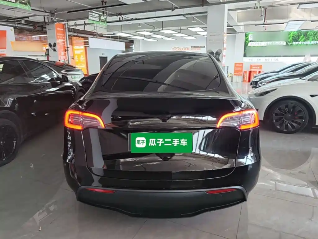 Tesla Model Y — миниатюра 6