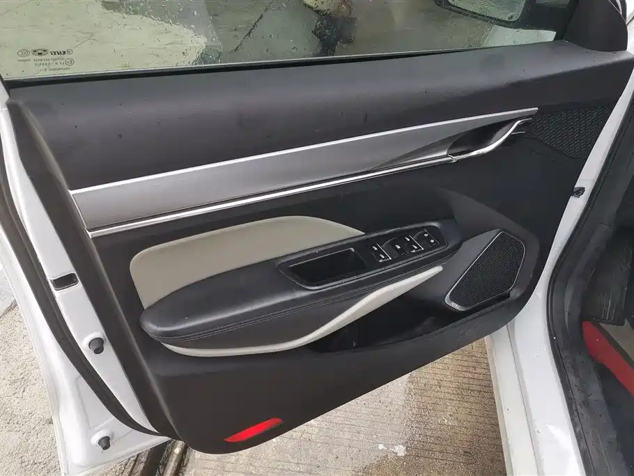 GEELY AUTOMOBILE BINRUI