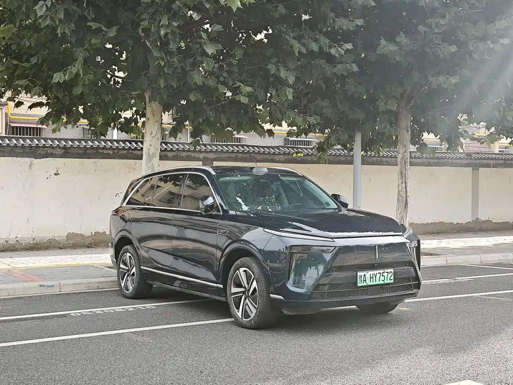 Wey Wey Lanshan — миниатюра 3