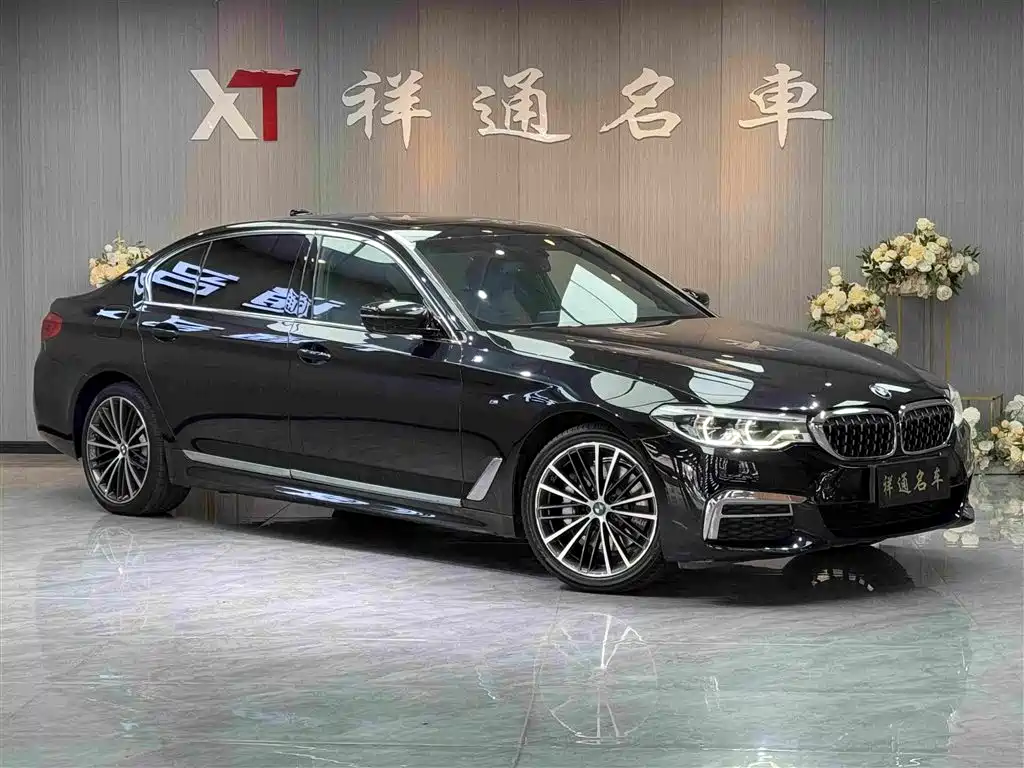 BMW 5 Series 5 2019 530Li Premium M Sport