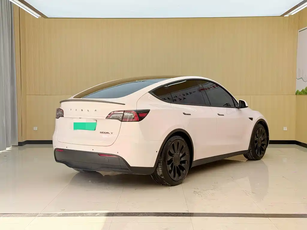 Tesla Model Y — миниатюра 15