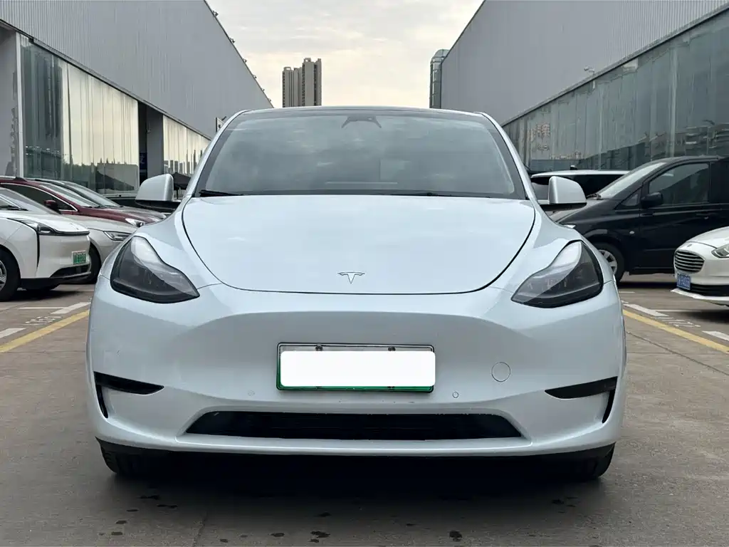 Tesla Model Y — миниатюра 2