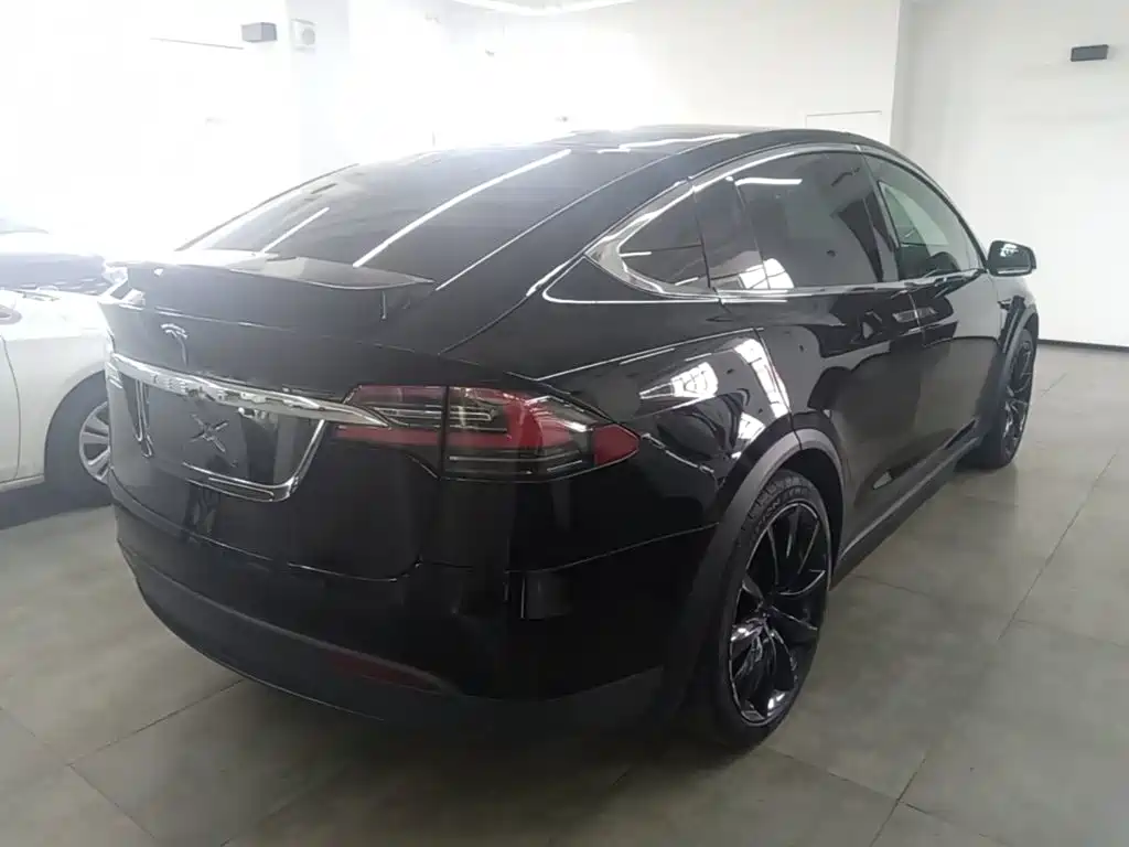 Tesla Model X — миниатюра 5