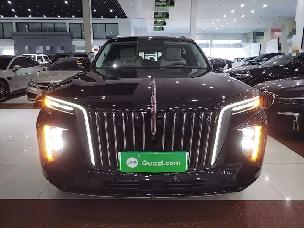 Hongqi Hongqi E-HS9 — миниатюра 3