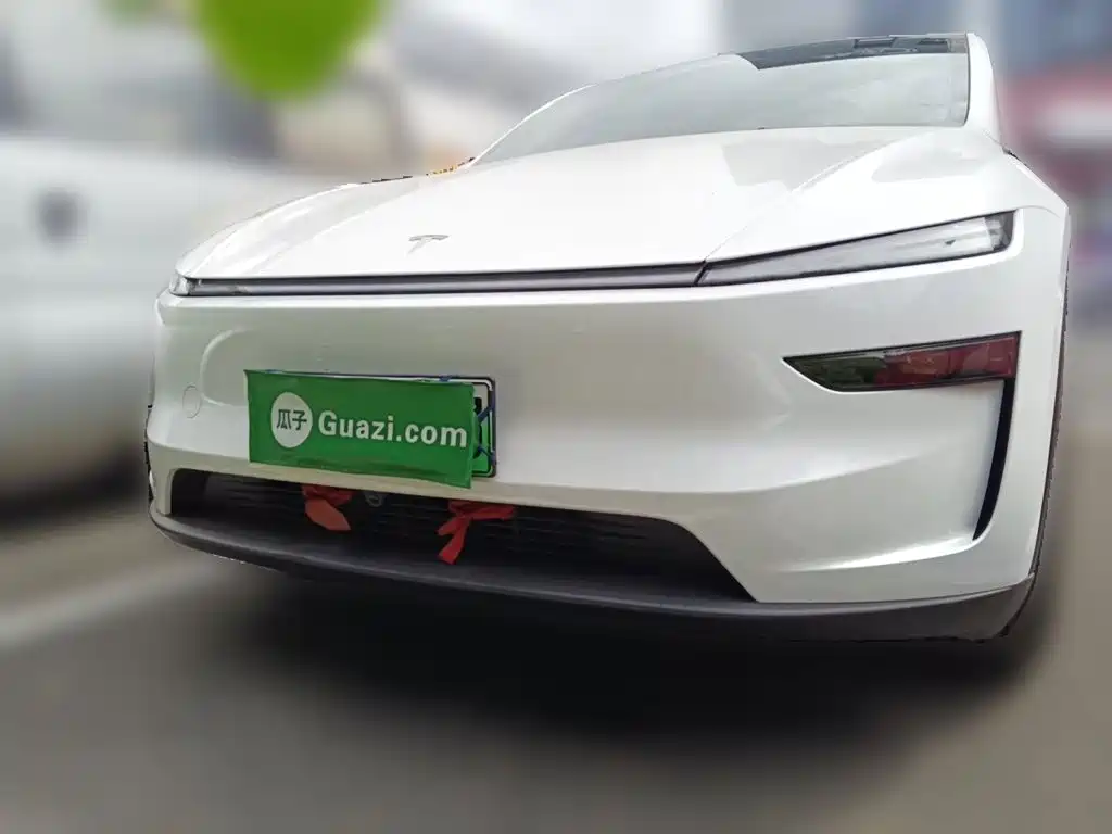 Tesla Model Y — миниатюра 2