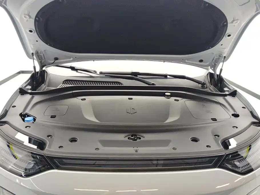 Leapmotor Leapmotor C11 — миниатюра 10