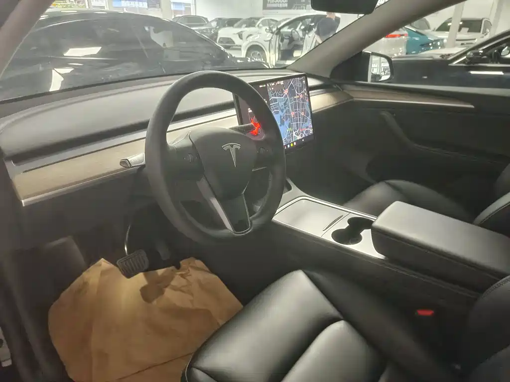 Tesla Model Y — миниатюра 4