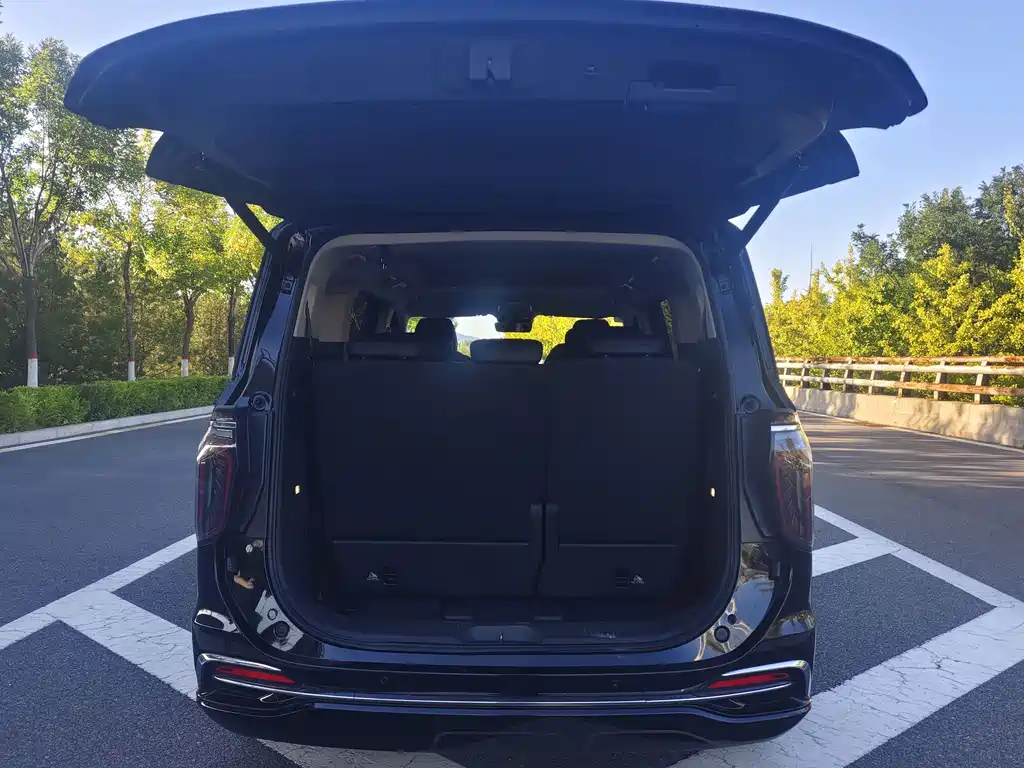 Hongqi Hongqi HQ9 — миниатюра 14
