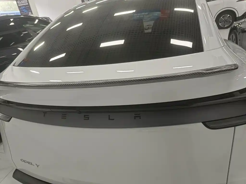 Tesla Model Y — миниатюра 13