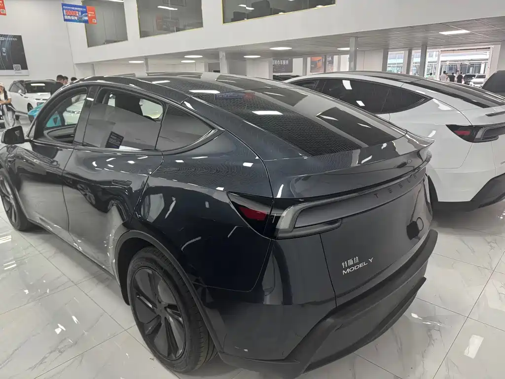 Tesla Model Y — миниатюра 12