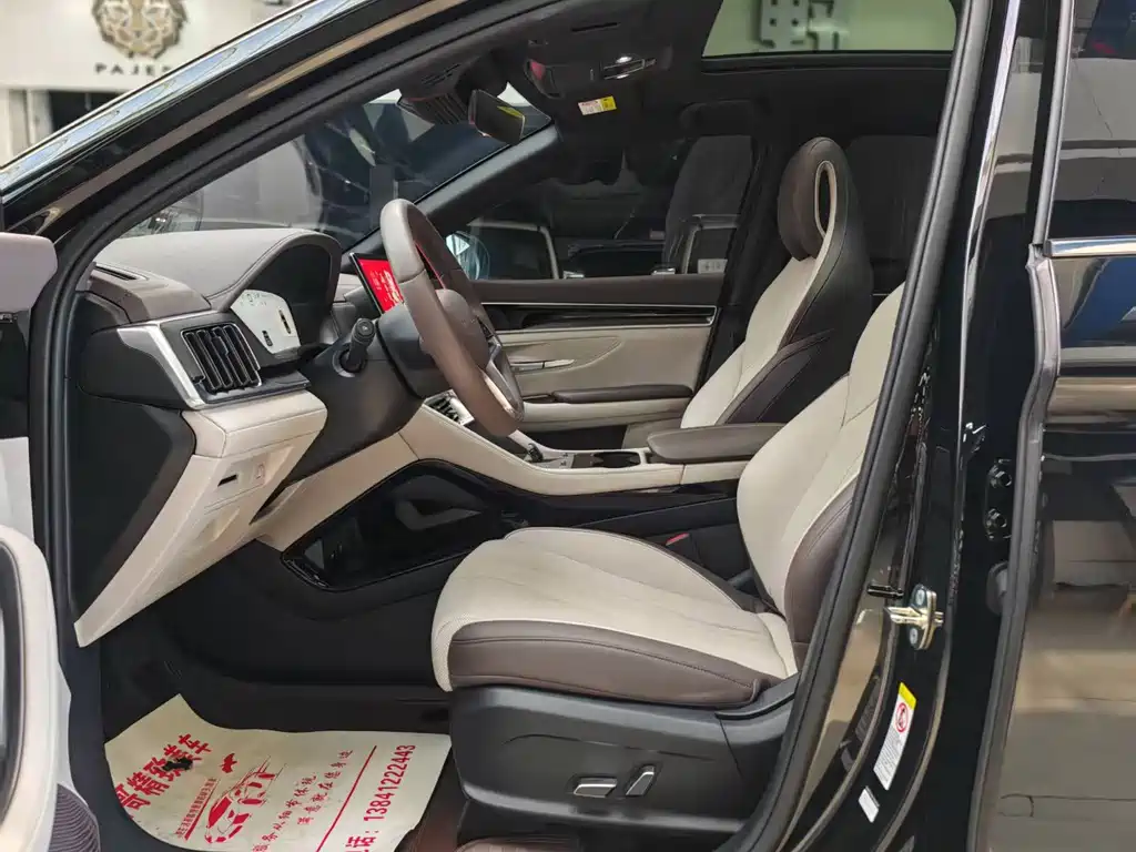 BYD PLUS New Energy — миниатюра 7