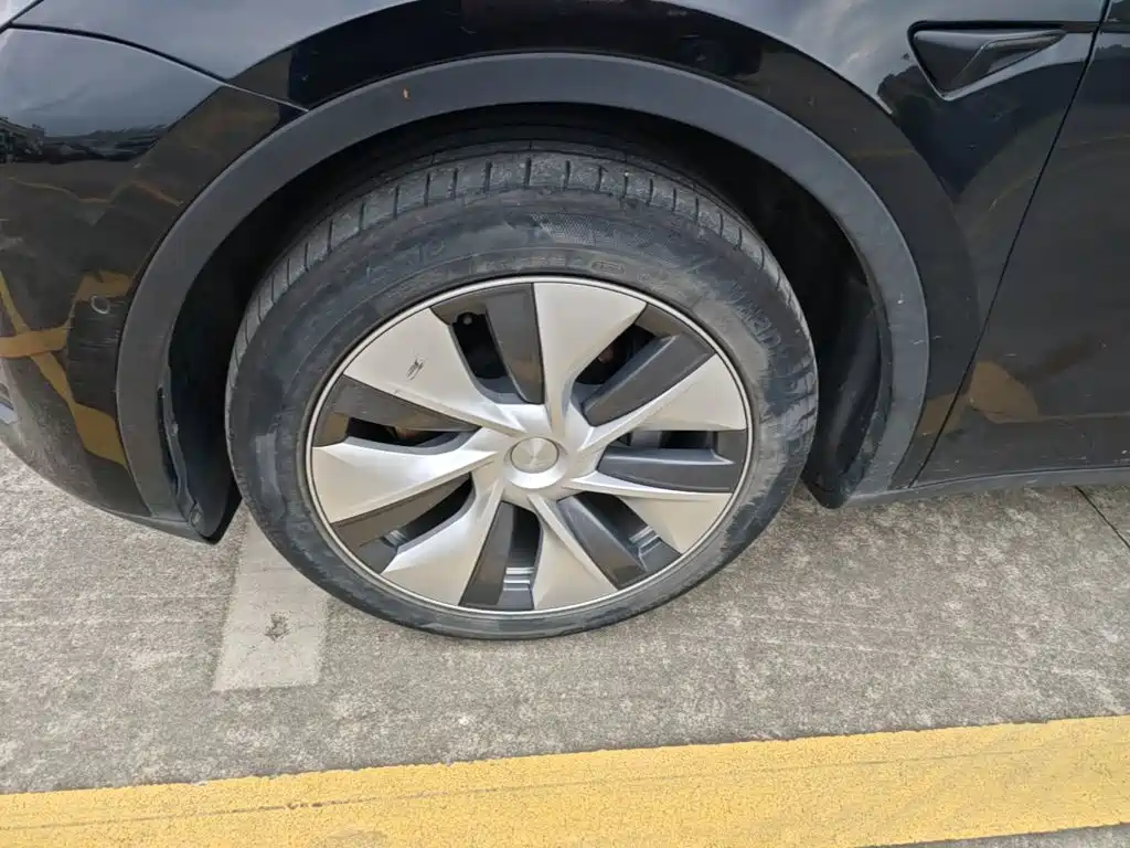 Tesla Model Y — миниатюра 23