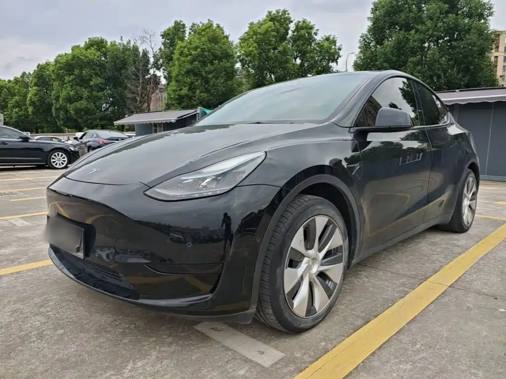 Tesla Model Y — миниатюра 2