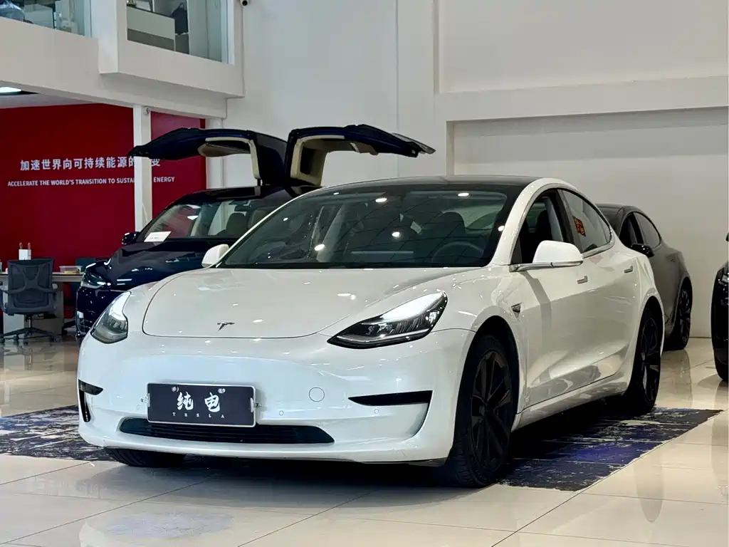 Tesla Model 3 2020