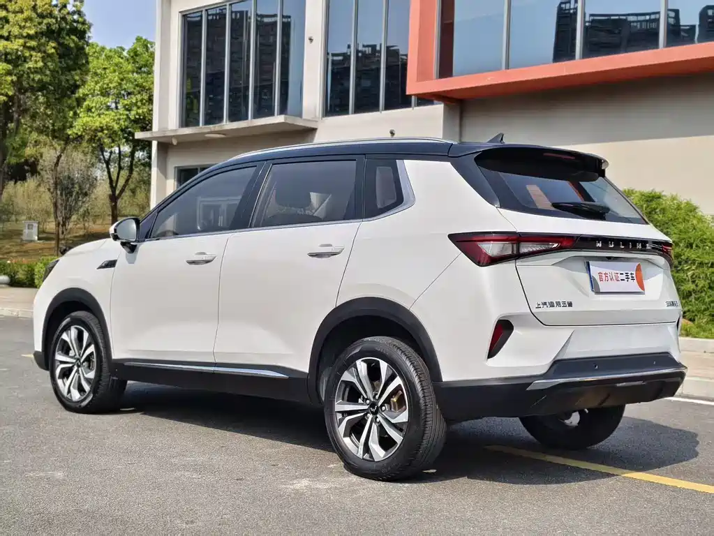 WULING WULING XINGCHEN