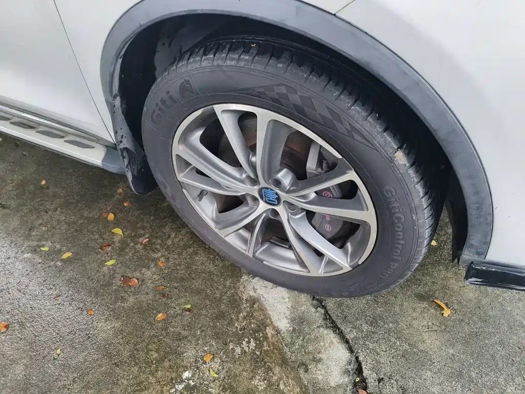 BYD Tang New Energy — миниатюра 8