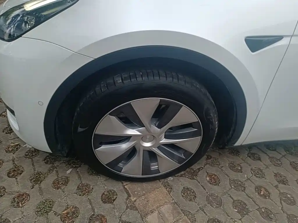 Tesla Model Y — миниатюра 23