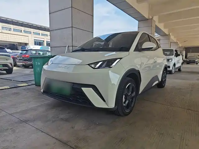 BYD Seagull