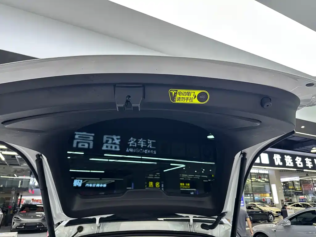 Tesla Model Y — миниатюра 16