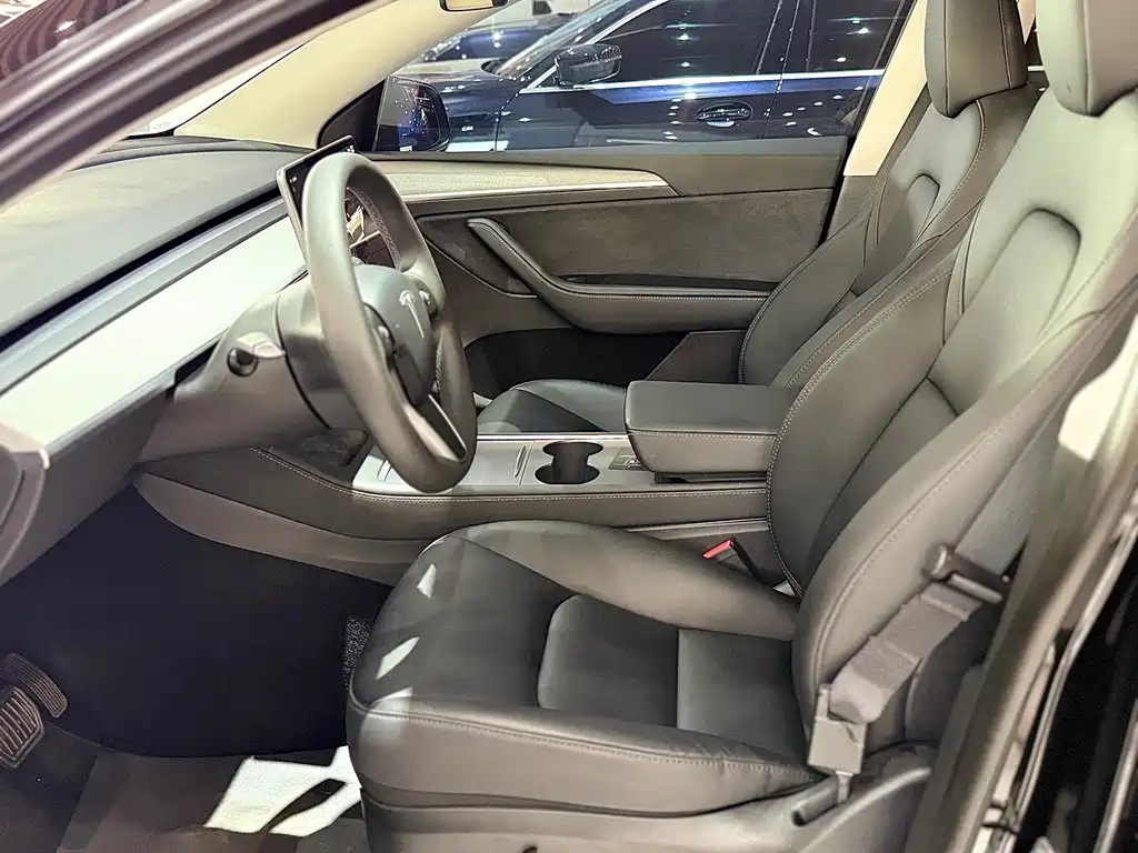 Tesla Model Y — миниатюра 7