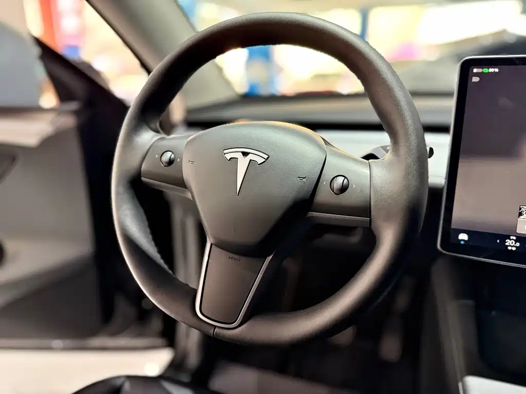 Tesla Model Y — миниатюра 12
