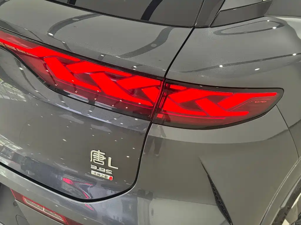 BYD Дон Л. — миниатюра 6