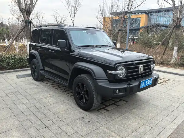 2023 TANK 300