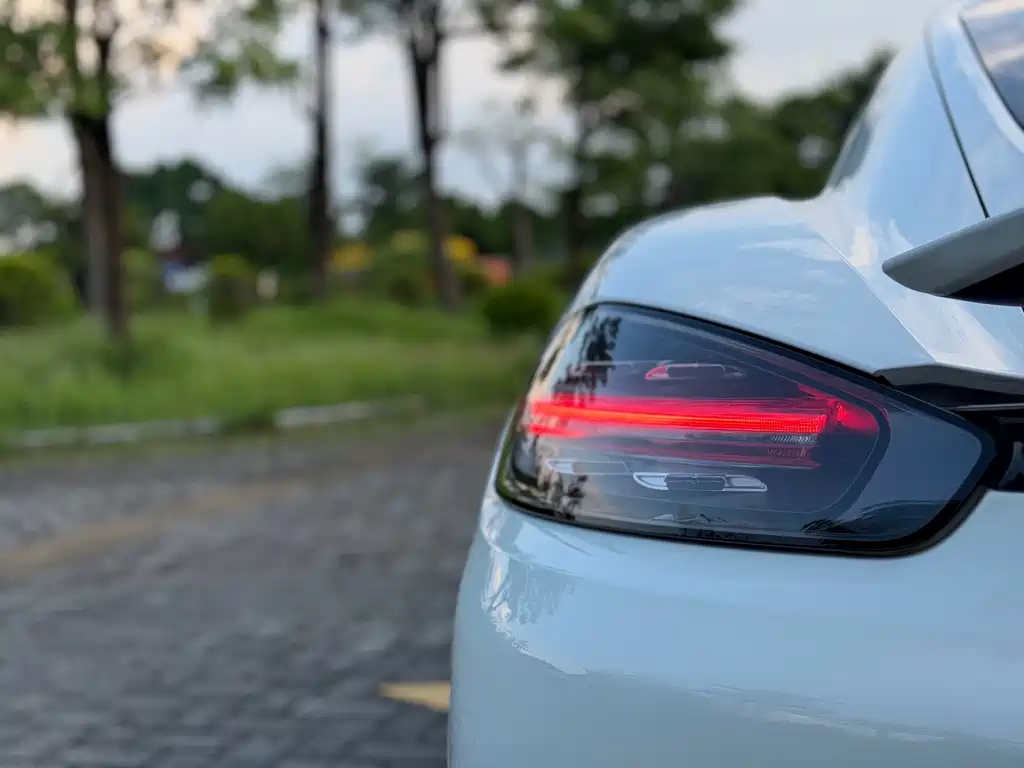 Porsche 718 — миниатюра 19