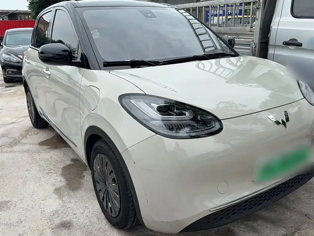 Wuling Binguo 2023 333km +