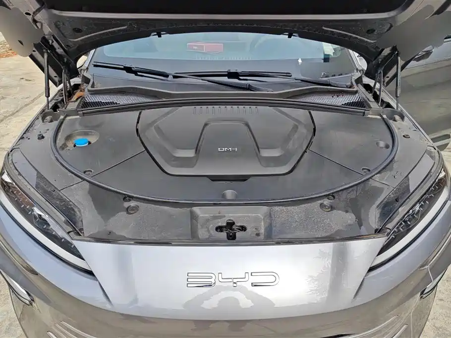 BYD SONGJIANG NEW ENERGY