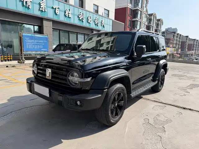 2024 TANK 300