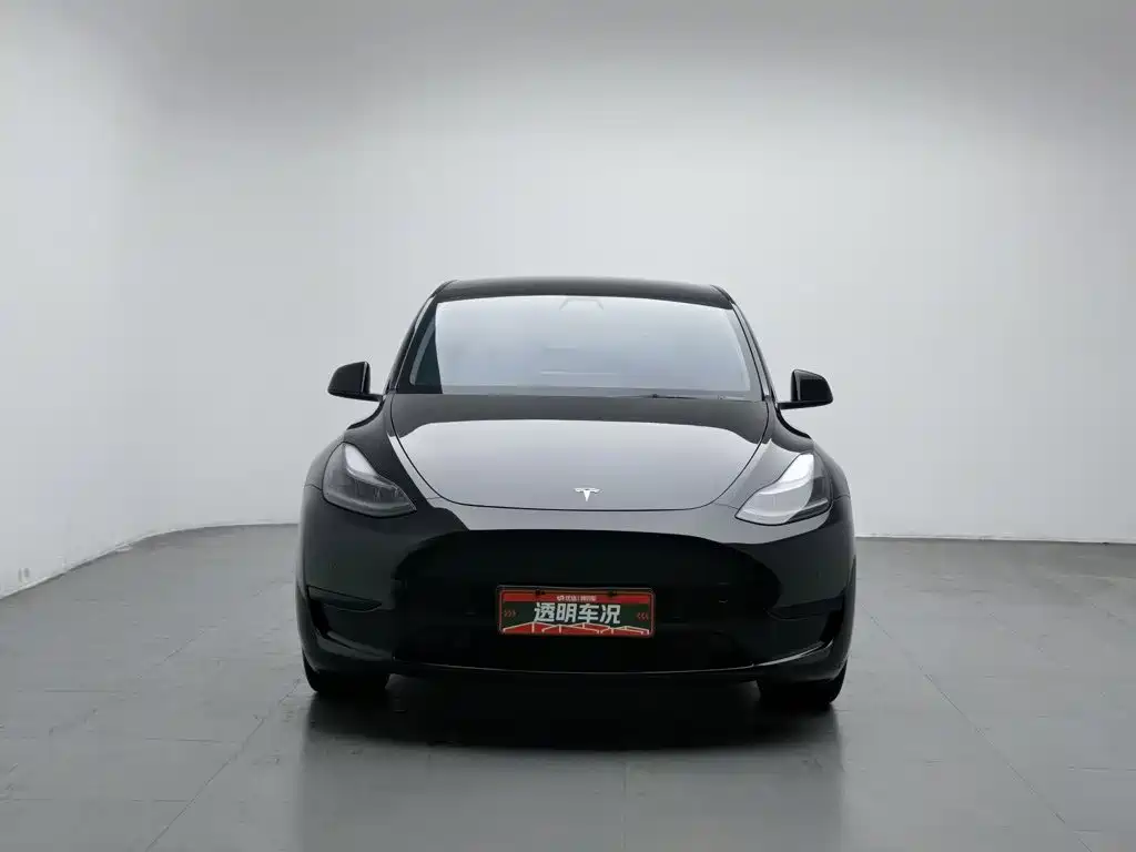 Tesla Model Y — миниатюра 3