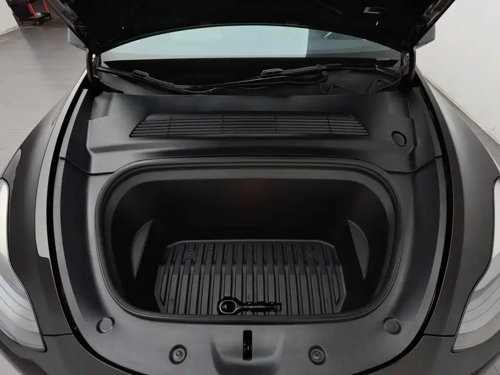 Tesla Model Y — миниатюра 6