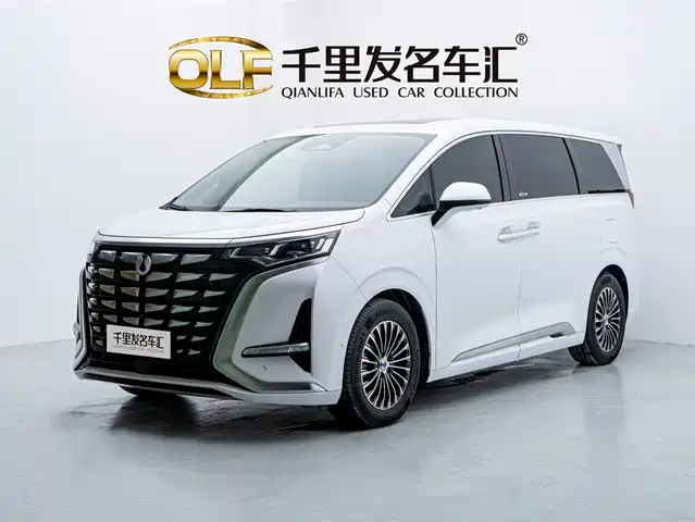 2023 Denza D9