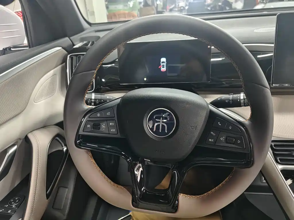 BYD Pro New Energy - фото 10