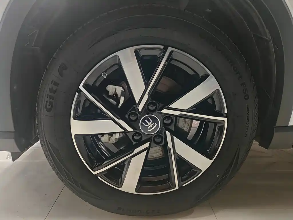 BYD Pro New Energy - фото 14