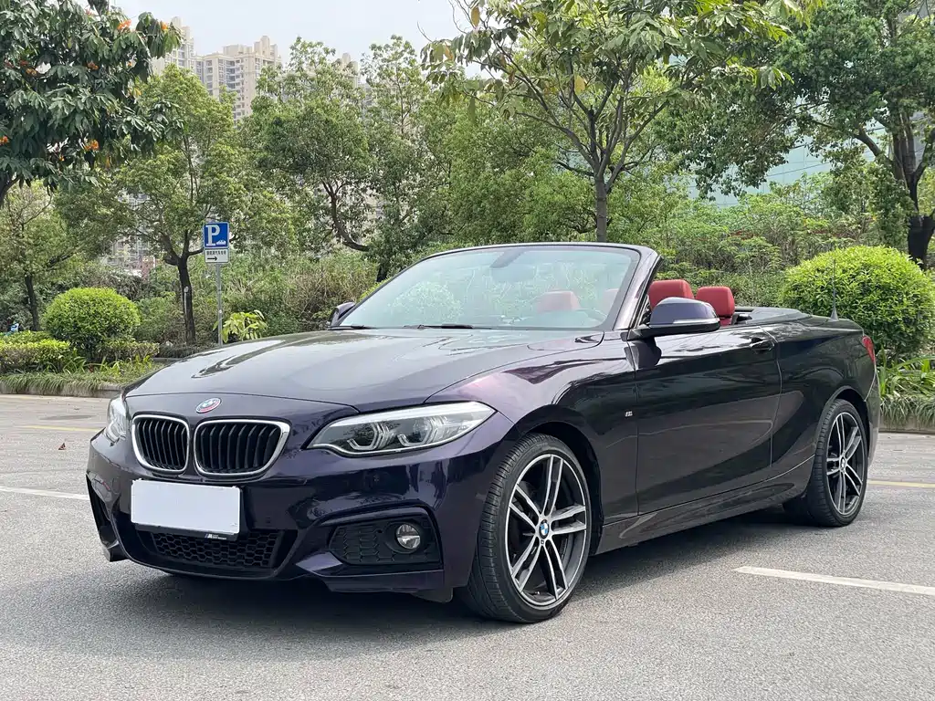 BMW 2 Series (Import) 2019