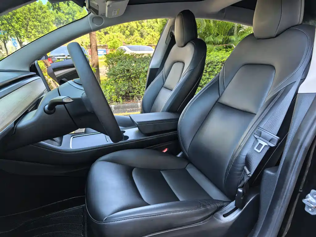 Tesla Model 3 — миниатюра 5