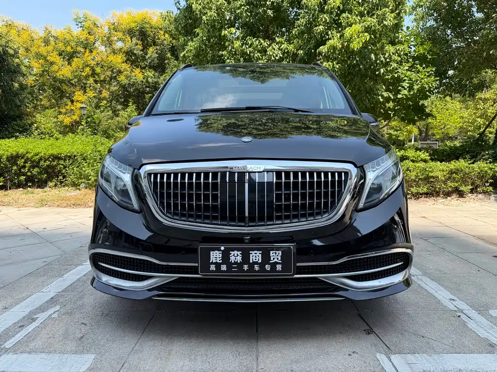 Mercedes-Benz V-Class — миниатюра 2